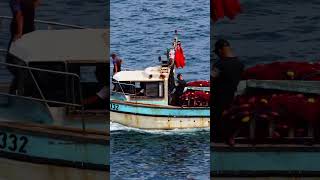 🚤✨ babor alger maghreb sea algeria dzpower oran world tiktokvideo shorts dz [upl. by Grekin177]