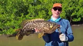 Incredible Fishing at Weipa [upl. by Gelasias365]