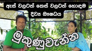 හිසකෙස් කළු කරගන්න හිසකෙස් දිගට වවා ගන්න සහ ඇස් පෙනීම වර්ධනයට හොඳම ඖෂධය මුකුණුවැන්න Sobadam Piyasa [upl. by Lechner511]