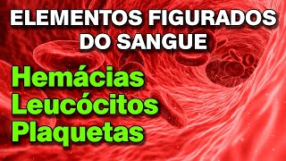 Hemácias  Leucócitos  Plaquetas Os elementos figurados do sangue [upl. by Epolenep]