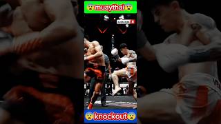 how to spinning back kick muaythai fight backkick muaythay martialarts sports edit fyp shorts [upl. by Rivalee]