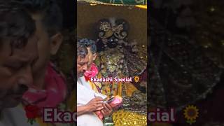 🌻 एकादशी Special Banke Bihari HarikDasbankebihariviralvideovrindavanaartibarsana [upl. by Juliette]