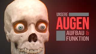 Das menschliche Auge  Aufbau und Funktion Animation [upl. by Susan]