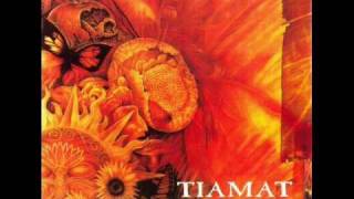 Tiamat  04  25th Floor [upl. by Lladnarc]