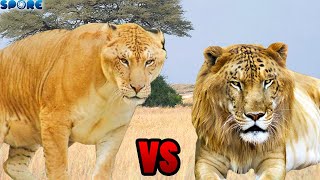 Liger vs Tigon  SPORE [upl. by Brittani]