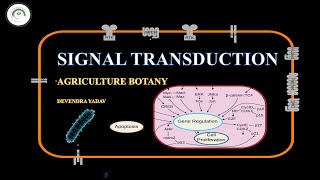 SIGNAL TRANSDUCTION  How Cells Communicate  DEVENDRA YADAV [upl. by Cornel]