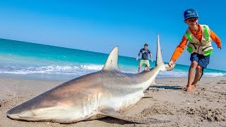 EPIC Day of Beach Fishing for Sharks and Pompano  Fan Episode  4K [upl. by Kordula]