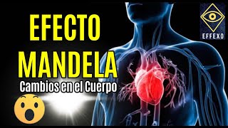 Efectos Mandela En El Cuerpo Humano  Effexo [upl. by Maidel]