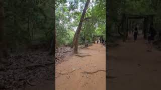 Auroville globe nature walk puducherry matrimandir [upl. by Yelroc]