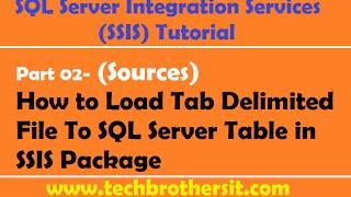 SSIS Tutorial Part 02 How to Load Tab Delimited File To SQL Server Table in SSIS Package [upl. by Perrine]