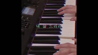 내 삶 드리리  piano cover [upl. by Nodyarb]