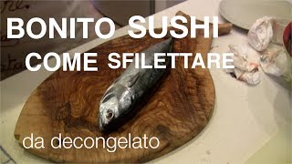 BONITO SUSHI🍣🍣🍣COME SFILETTARE I TOMBARELLI DECONGELATI E PREPARARE I NIGIRI [upl. by Samalla]