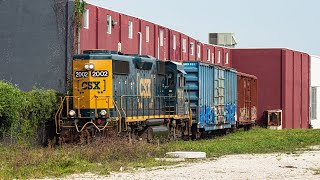 quotVoodoo amp Palmettosquot The Miami Industrial Train Scene in 2020 [upl. by Amin]