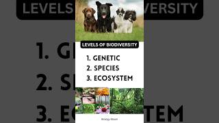 Levels of biodiversity Genetic Diversity  Species diversity  Ecosystem Diversity [upl. by Einneg]