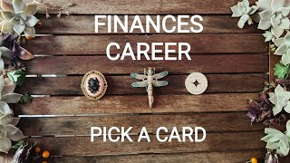 FINANCES AND CAREER Next 3 Months 🌞 Pick a Card 🌼 Tarot Reading Timeless [upl. by Yaja]