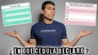 En cual cedula se declaran las rentas de trabajo YO TE LO EXPLICO [upl. by Orling874]