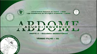 ABDOME AGUDO ISQUÊMICO  PARTE 2  LACANFLIX [upl. by Lathe359]