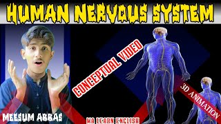 Nervous system  Control and Coordination 3D animated explanation 10th class  Science [upl. by Lasiaf]