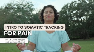 Intro to Somatic Tracking for Pain and Guided Practice for Pelvic Pain [upl. by Araht]