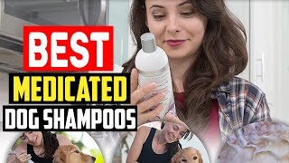 Top 5 Best Medicated Dog Shampoos in 2023 [upl. by Nitneuq746]