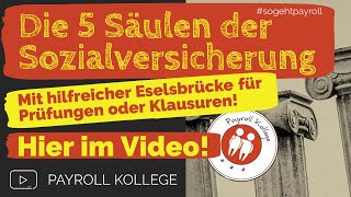 Die 5 Zweige der Sozialversicherung Die 5 Säulen der Sozialversicherung [upl. by Nyleikcaj182]