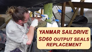 Yanmar SD60 Sail Drive How to replace the SD60 output seals DIY with no BS [upl. by Nada]