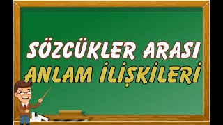 Sözcükler Arası Anlam İlişkileri [upl. by Sims559]