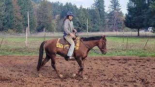 Diamond Training  loping thru drills and Barrel pattern [upl. by Linnette]