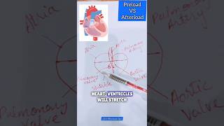 Preload and Afterload heart cardiac What is Preload and Afterload [upl. by Enileqcaj937]