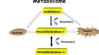 hépatite médicamenteuse partie 1 [upl. by Herra]