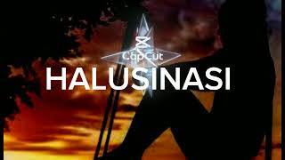 HALUSINASI  MeL shAndy Lyrics [upl. by Eldwin]