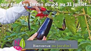 QUE FAIRE DANS VOTRE JARDIN DU 24 AU 31 JUILLET  LES BONS CONSEILS PRATIQUES DE PATRICK ET ROLAND [upl. by Goldie313]