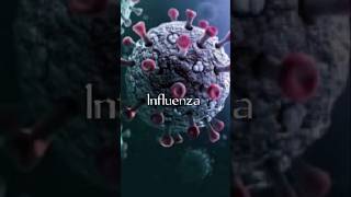 Different types of virusesvirusesvirus diseasesshorts feedviral shortsshortstrending [upl. by Airotnes281]