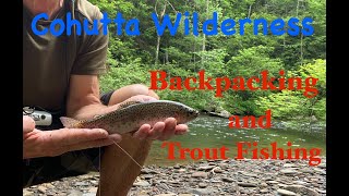 Cohutta WildernessBackpacking amp Trout Fishing [upl. by Retsek]