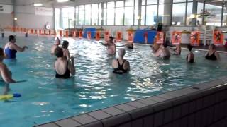 Zwembad De Meerval WellFit Senioren Club 55 [upl. by Manbahs]