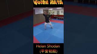 Kata Tutorial Heian Shodan karate karatekata heianshodan [upl. by Arnaud]