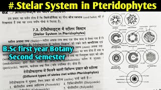 Stelar System in Pteridophytes in hindi  BSc first year Botany Second semester [upl. by Gar]