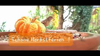 Schöne Herbstferien [upl. by Adlev509]