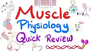 Muscle Physiology in 20 Minutes  Quick yet Comprehensive Review  Physiology Playlist [upl. by Gregg]