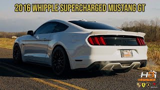 Whipple Supercharged Mustang GT InDepth  ExhaustSupercharger Sounds [upl. by Neron]