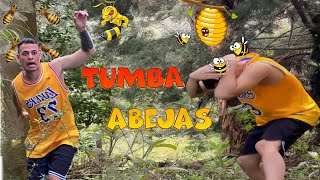 TUMBA AVISPAS 🐝 SALE MAL P 1 [upl. by Anitniuq241]