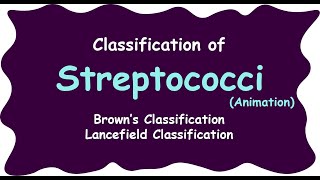 streptococci  Lancefield classification of streptococci  streptococcus species [upl. by Cirdec214]