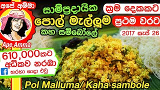 ✔ බඩේ තුවාල සුව කරන පොල් මැල්ලුම කහ සම්බෝලේ Pol Mallum for stomach ulcers by Apé Amma [upl. by Ridgley264]