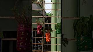 Hanging PlanterPlastic bottle shortsvideo creativeplanters diyplanter recycle [upl. by Georgeanna]