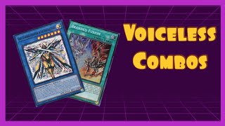 Voiceless Voice Combo Guide PostLEDE [upl. by Rafaelle556]