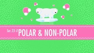 Polar amp NonPolar Molecules Crash Course Chemistry 23 [upl. by Donetta]