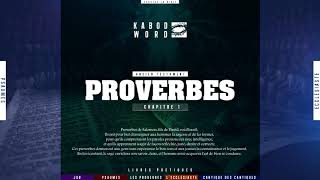 « Proverbes » LAncien Testament  La Bible Du Semeur audio VF Complète [upl. by Enytsirk454]