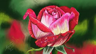 Adobe Fresco Rose Oil Painting With Water Drops Time Lapse [upl. by Fox]