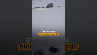 Ozbekistonda birinchi qor yogdi news snowfall [upl. by Ati20]