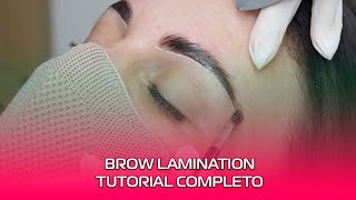 BROW LAMINATION COMO FAZER ❤️ [upl. by Elberfeld895]